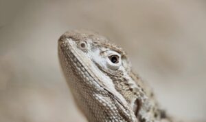 メンズコスメの使用方法と効果は本当に知っておくべき？