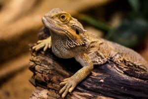 メンズコスメは予約が必要？その理由と注意点を徹底解説！