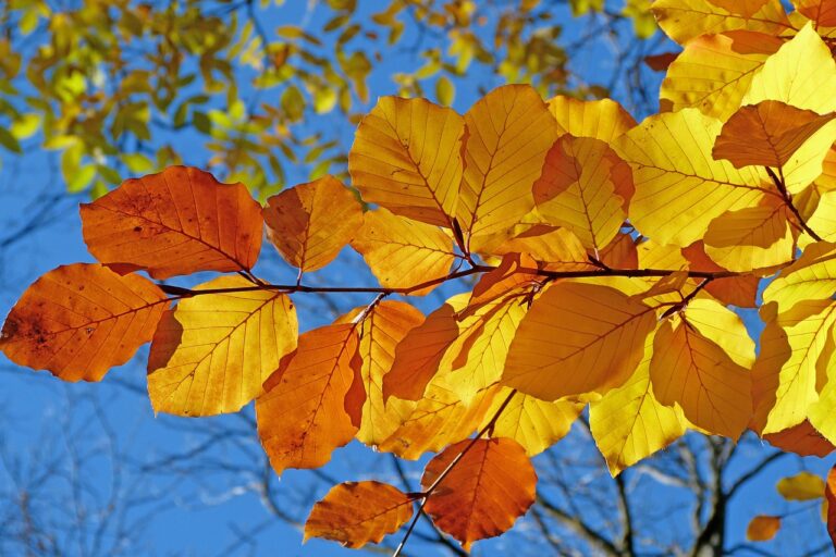 メンズコスメは使いやすい商品が揃っている？