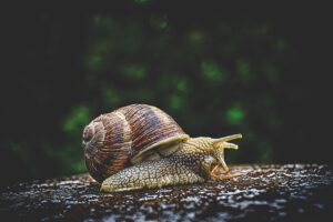 メンズコスメの口コミ調査は本当に役立つ？