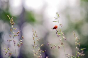 メンズコスメを使う前に知っておくべき注意点は？